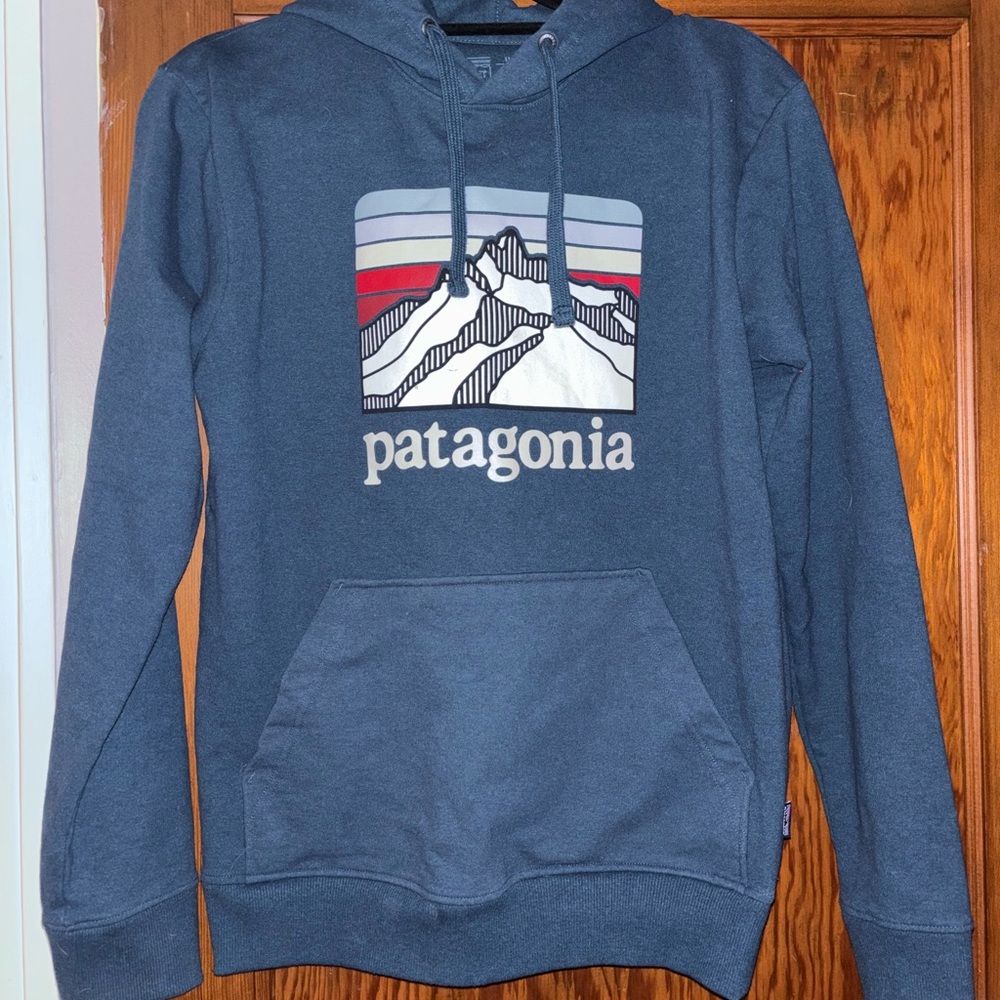 Men’s Patagonia Hoodie